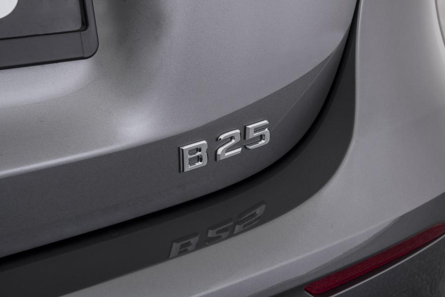 Логотип Mercedes-Benz A250 B25 by Brabus (W177) 2018 года  (фото 9 из 25)